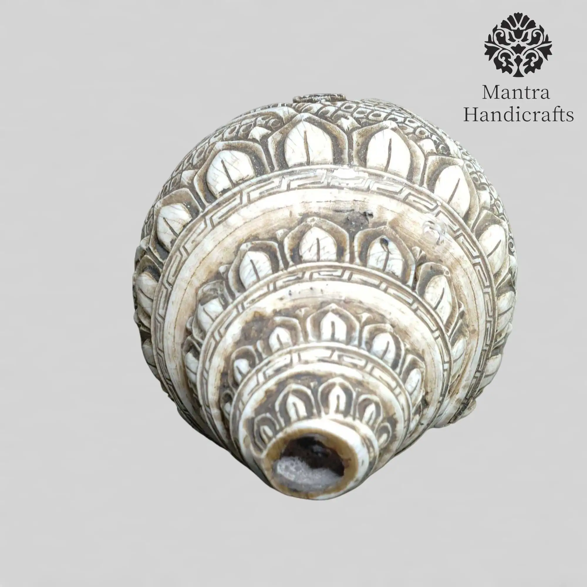 Authentic Tibetan Conch Shell |  Unique Collectible Item - Image 3